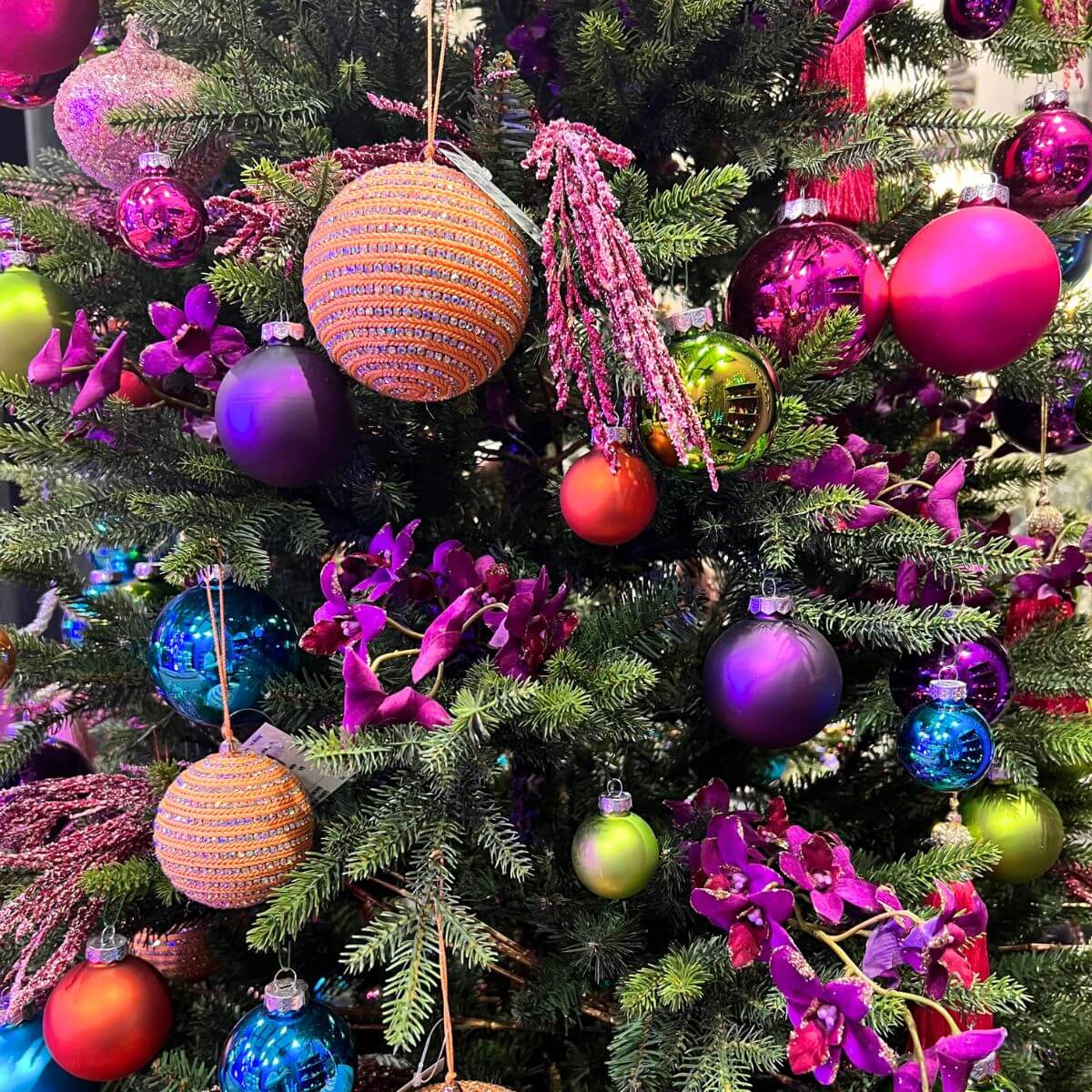 Mom Fest – KWFamous